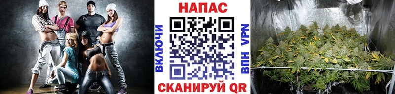 Каннабис SATIVA & INDICA  Светлоград 